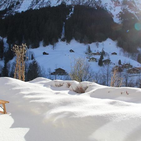 Chalet Pfingsteggblick Grindelwald Bagian luar foto