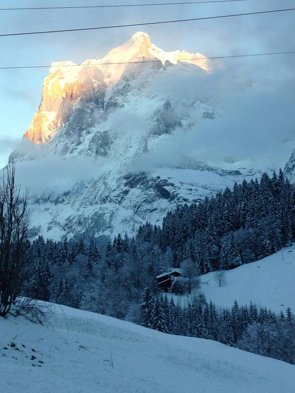 Chalet Pfingsteggblick Grindelwald Bagian luar foto