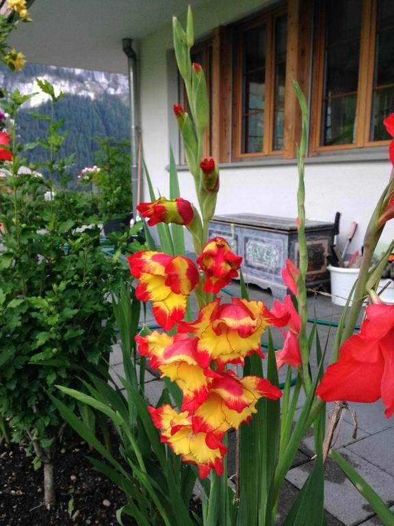Chalet Pfingsteggblick Grindelwald Bagian luar foto